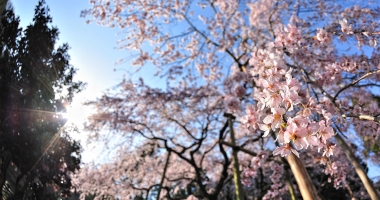 Stire din Social : PROGNOZA METEO PE DOUĂ SĂPTĂMÂNI: Cum va fi vremea în weekendul de 1 mai