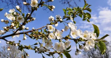 Stire din Actualitate : Prognoza meteo pe cinci zile. Temperaturile urcă până la 18°C