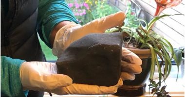Stire din Actualitate : O femeie din British Columbia s-a trezit cu un meteorit în pat, după ce acesta a căzut prin tavan