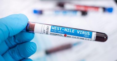INSP: 28 de cazuri de infecţie cu virusul West Nile, înregistrate până în 30 august