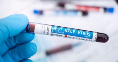 Stire din Actualitate : Restricții la donarea de sânge în județele cu cazuri confirmate de West Nile. Ce trebuie să știe donatorii