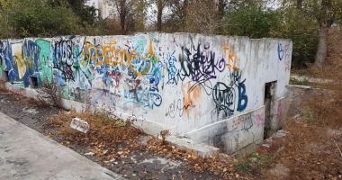 Mica junglă! Gunoaie, mizerie și câini vagabonzi  în loc de Sală Polivalentă - 2