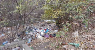 Mica junglă! Gunoaie, mizerie și câini vagabonzi  în loc de Sală Polivalentă - 3