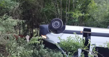 Coșmar pentru opt români în Austria. Microbuzul s-a prăbușit într-o râpă de 10 metri