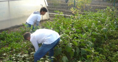 Stire din Social : O casă specială pentru tineri speciali