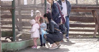 Stire din Social : Week-end la Microrezervație și Delfinariu. Ce puteți vizita
