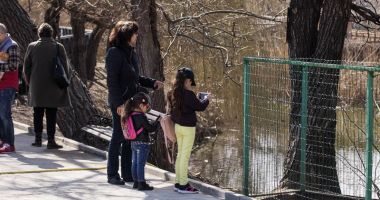 Week-end la Microrezervație și Delfinariu. Ce puteți vizita - 2