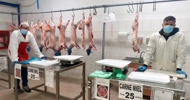 Stire din Social : Vânzări carne de miel / Igienă și măsuri de protecție în piețele Griviței și Tomis 3