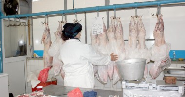 Stire din Economie : Prețul mieilor îi lasă perplecși pe constănțeni!