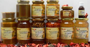 Stire din Economie : Producția de miere de floarea-soarelui, compromisă