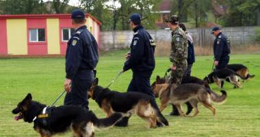 Stire din Eveniment : Polițiștii constănțeni, acțiune pentru prevenirea migrației ilegale