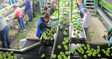 Stire din Social : Migrația românilor în străinătate produce efecte sociale uriașe