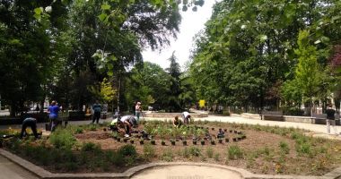 Stire din Social : Mii de flori, plantate pe spațiile verzi de pe străzile Constanței