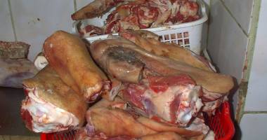 Mii de kilograme de carne, pește și lactate, confiscate și distruse de inspectorii DSV