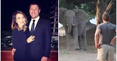 Stire din Actualitate : Milionar de 39 de ani, sfâşiat şi călcat în picioare mortal de elefanţi în propriul safari