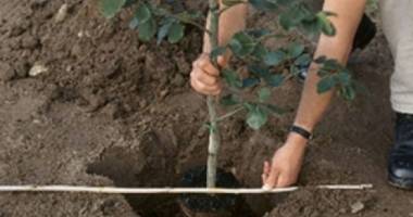 Stire din Eveniment : Militarii din șase țări NATO susțin natura, la Constanța
