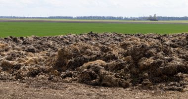 Stire din Social : Ministrul Mediului anunță finanțări de 6 milioane de euro pentru sistemele de compostare în zonele agricole