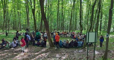 Stire din Social : Ministerul Mediului și școlile din România s-au unit pentru educația ecologică în Săptămâna Verde