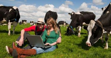 Stire din Economie : Ministerul Agriculturii pune la bătaie 237 de milioane de euro pentru fermieri
