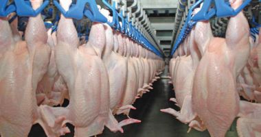Stire din Economie : Ministerul Agriculturii se contrează cu presa pe tema prețurilor la carne și ouă