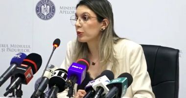 Stire din Actualitate : Tupeu de nedescris! 13 directori Romsilva au încasat bonusuri de pensionare de un milion de euro, în ultimii doi ani