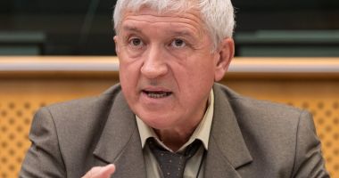 Stire din Politică-Administrație : Mircea Diaconu, despre Viorica Dăncilă: "Un leu rănit este mai periculos"