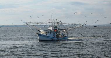 Stire din Eveniment : Misiune de salvare a unui pescador românesc. Ce spune Autoritatea Navală Română
