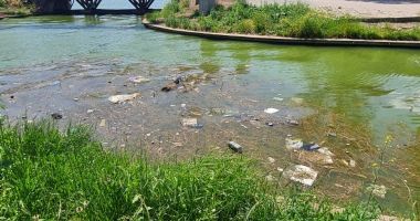 Canalul din Satul de Vacanță, din atracție turistică, focar de infecție - 3