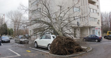 IMAGINI INEDITE LA CONSTANȚA. Vezi cum arată un Mercedes ML cu un copac înfipt în el! - 3