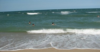 Elevii salvează Marea Neagră