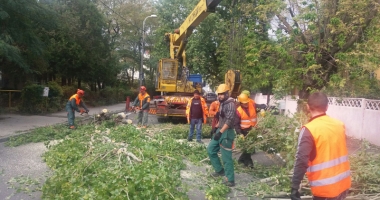 Mobilizare masivă la "Curățăm Constanța noastră" - 3