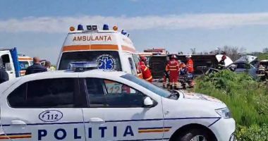 Stire din Eveniment : Momente de groază la volan! Înţepat de o albină, un şofer a intrat cu maşina într-un cap de pod