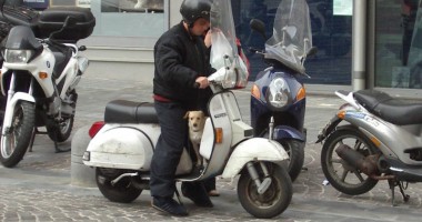 Stire din Economie : AFACEREA "Mopedul" A MURIT! Trăiască AFACEREA "Bicicleta"!