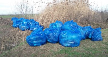 Stire din Social : Mormane de gunoaie, adunate de pe cursul de apă în Lacul Nuntaşi