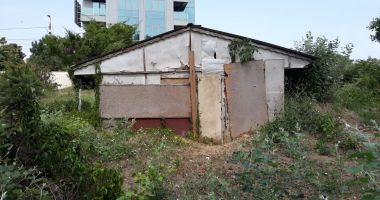 Mormântul pictat "Hypogeu", îngropat de buruieni. Cavoul va fi restaurat și va putea fi vizitat? - 3