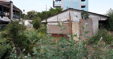 Mormântul pictat "Hypogeu", îngropat de buruieni. Cavoul va fi restaurat și va putea fi vizitat? - 4