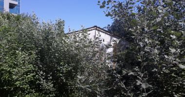 Istorie printre bălării! Mormântul Hypogeu, îngropat în buruieni - 2