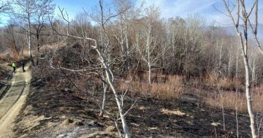 Stire din Eveniment : Un bărbat de 78 de ani a murit în urma unui incendiu de vegetaţie. Poliţiştii au deschis o anchetă
