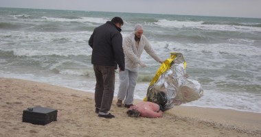 Stire din Eveniment : Un bucureștean s-a sinucis pe o plajă din Mamaia