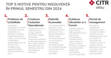 CITR: Numărul companiilor de impact care au intrat în insolvență a fost dublu în primul semestru al anului față de aceeași perioadă a anului trecut. Cauzele: vânzări în scădere și datorii în creștere - 3