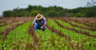 Stire din Social : Autoritatea Europeană a Muncii sprijină lucrătorii de sezon