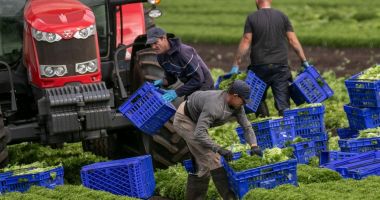 Stire din Social : Vreţi să lucraţi în Regatul Unit? Ce trebuie să ştiţi despre condiţiile de muncă