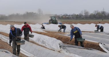 Stire din Economie : Muncitorii români care lucrează în străinătate vor fi protejaţi suplimentar
