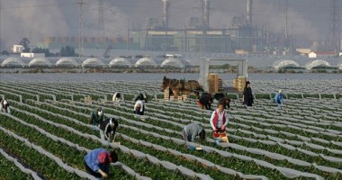 Stire din Actualitate : Românii din Spania cer în instanță anularea deciziei de a restricționa accesul pe piața muncii