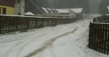 Stire din Actualitate : Lapoviță și ninsoare în munții Rodnei, la peste 1.200 de metri altidudine