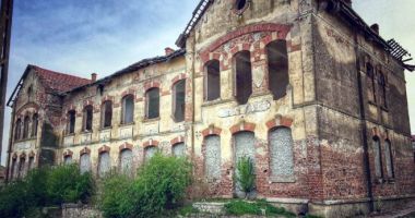 Colecție din Jurasic, atracția turistică a  Muzeului din Hârșova - 3