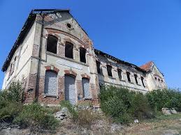 Colecție din Jurasic, atracția turistică a  Muzeului din Hârșova - 2