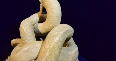 Stire din Cultură-Educație : Şarpele Glykon va fi expus la Muzeul de Arheologie din Madrid