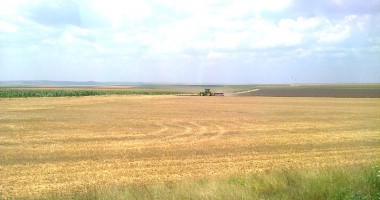 Stire din Economie : Nu ai depus cererea de sprijin pe suprafață? Penalizări de 1% pe zi