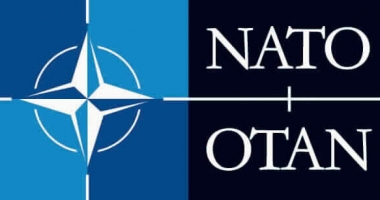 Record de atacuri cibernetice asupra NATO